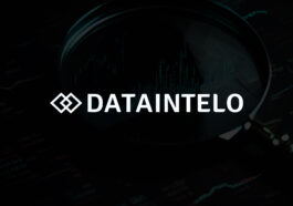 dataintelo 4
