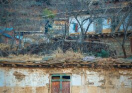 Upper Dolpo Trek Guides