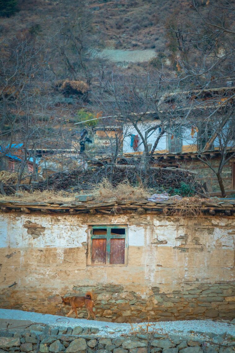 Upper Dolpo Trek Guides