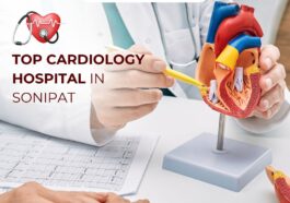 WhatsApp Image 2025 01 24 at 2.54.23 PM 1