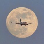 Norse Atlantic Airways San Francisco Office +1–888–839–0502 20 efa9bfd9 6882 4781 8889 a0919e24f625 1