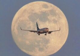 efa9bfd9 6882 4781 8889 a0919e24f625 1