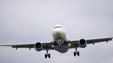 pexels am83 12494291 1