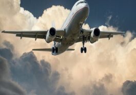 pexels pixabay 46148 1 3