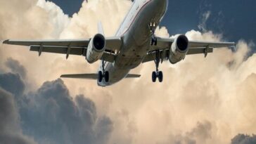 pexels pixabay 46148 1 3