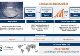 Calcium Hydride Market